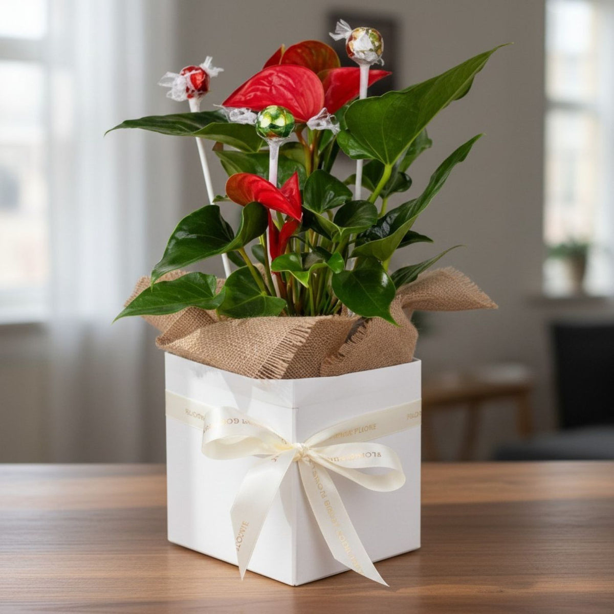 Anthurium Bloom & Lindt Chocolate Gift